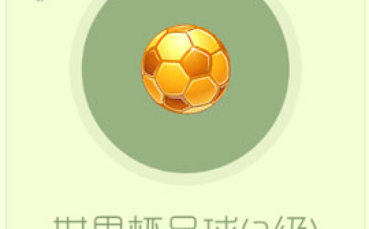 世界杯彩票什么买法-秘籍解析，世界杯彩票的购买指南与策略选择