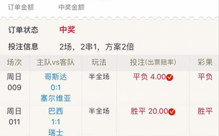 世界杯彩票投注258-掌握未来与概率的平衡，世界杯彩票258的深度探索