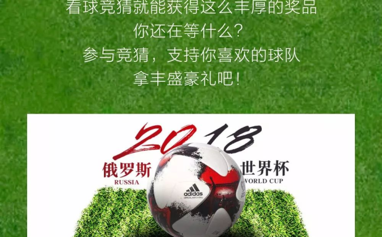 世界杯竞猜彩票丢了-无悔之赛，世界杯竞猜彩票遗失的幸福瞬间
