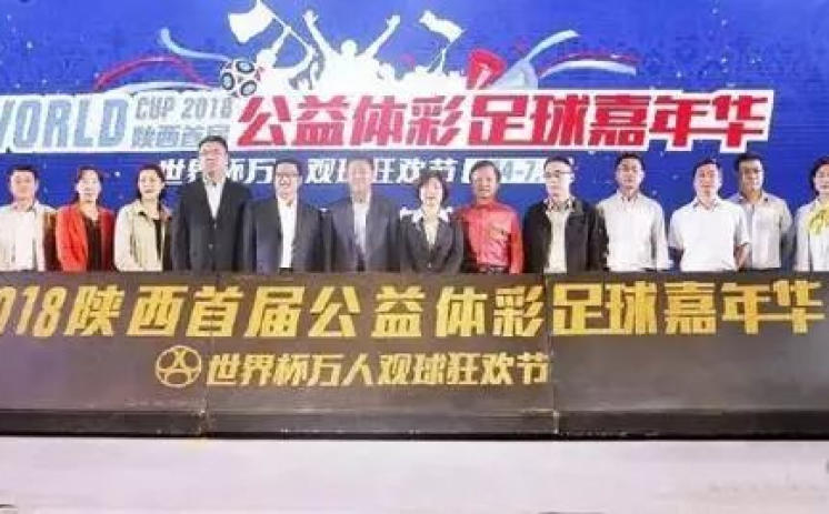 2010年世界杯彩票-2010年世界杯彩票，一次全球体育狂欢的幸运之门