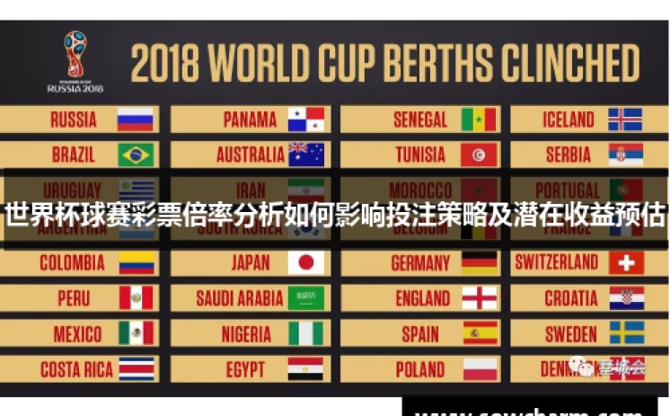 世界杯足球 彩票-世界杯足球彩票，梦想与机遇之间的博弈